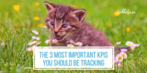 What KPI to Measure? The 3 Most Important KPIs You Should Be Tracking