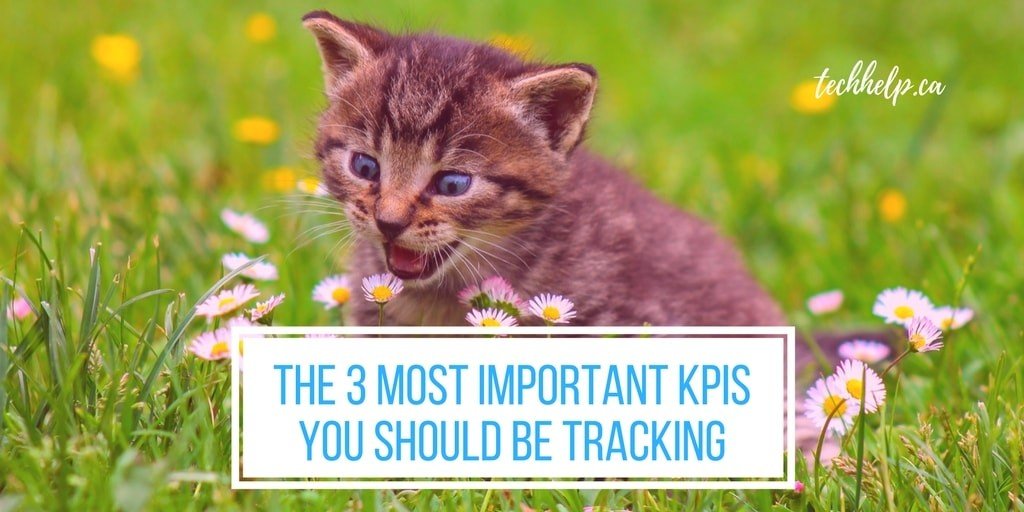 What KPI to Measure? The 3 Most Important KPIs You Should Be Tracking what kpi to measure
