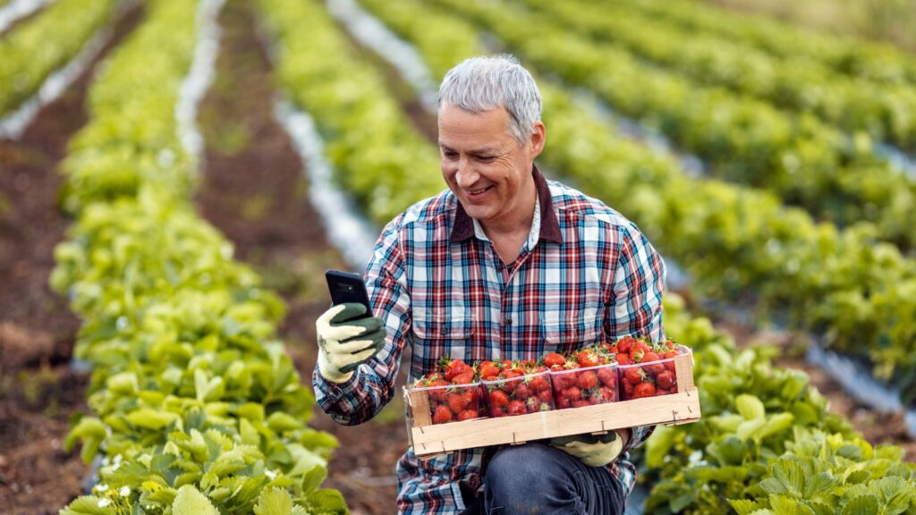 A farmer with a basket of fresh strawberries smiles as he looks at his smartphone in the field, showcasing how even agricultural businesses can grow their online presence.