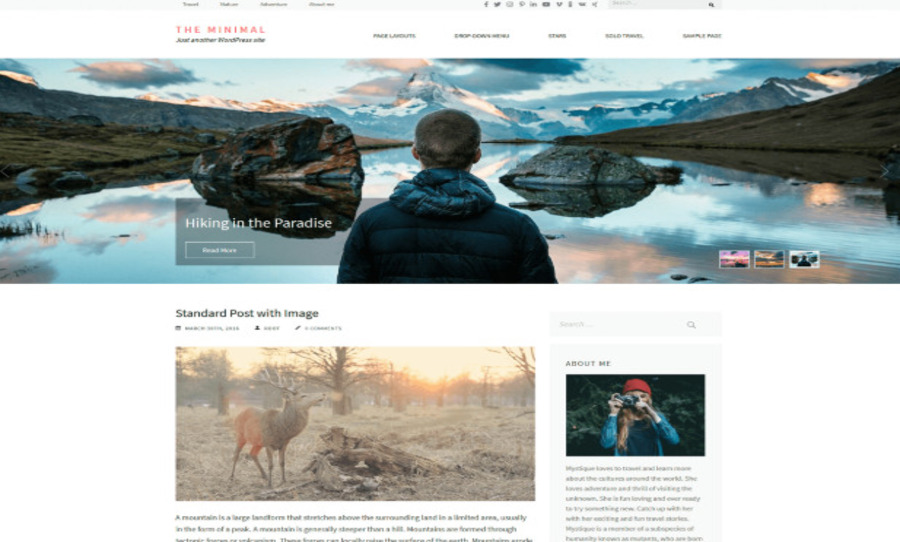 Preview of 'The Minimal' WordPress theme featuring a clean, modern layout with large imagery, a blog post section, and an author bio widget.