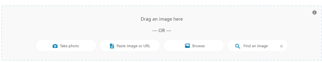 Bing Visual Search interface with options to drag an image, take a photo, paste an image URL, browse files, or find an image.