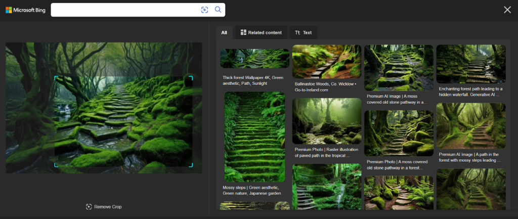 Image search results showing a moss-covered stone pathway winding through a lush, green forest with dense trees.