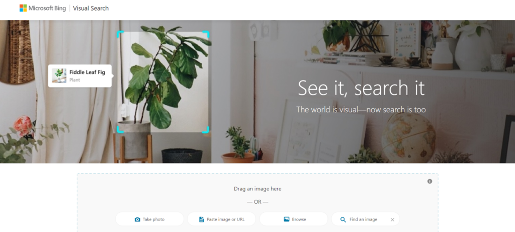 Microsoft Bing Visual Search interface highlighting a Fiddle Leaf Fig plant in a modern indoor setting with decorative items in the background.