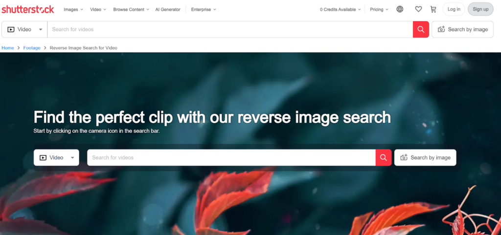 Shutterstock page for reverse image search, featuring a search bar with video and image search options, set against a blurred background with red leaves.