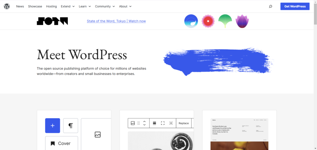 "Meet WordPress" text overlay with website design elements.