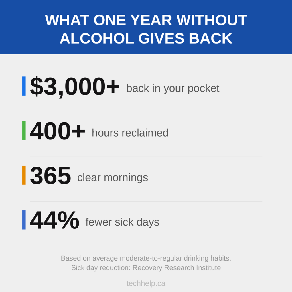 Infographic showing what one year without alcohol gives back: $3,000+ back in your pocket, 400+ hours reclaimed, 365 clear mornings, and 44% fewer sick days.