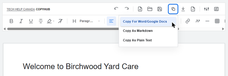 CopyHub Copy menu with Copy for Word/Google Docs highlighted