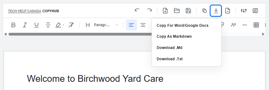 CopyHub Export menu open from the editor toolbar