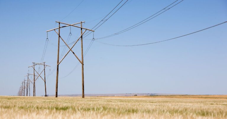 Power lines stretching across a prairie field under a clear blue sky.