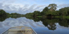 View from a small boat traveling along a calm, forest-lined river.