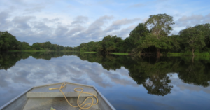 View from a small boat traveling along a calm, forest-lined river.