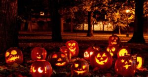 Glowing carved pumpkins arranged among fallen leaves beneath trees at night.