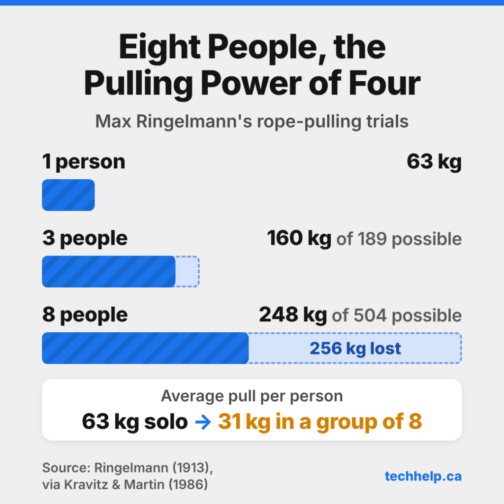 Bar chart of Max Ringelmann's rope-pulling data. One person pulled 63 kg, three people pulled 160 kg of a possible 189 kg, and eight people pulled 248 kg of a possible 504 kg, or 31 kg each.