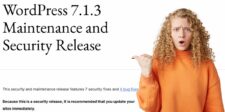 WordPress 7.1.3 security release announcement showing seven security fixes, with a surprised woman pointing toward the update.